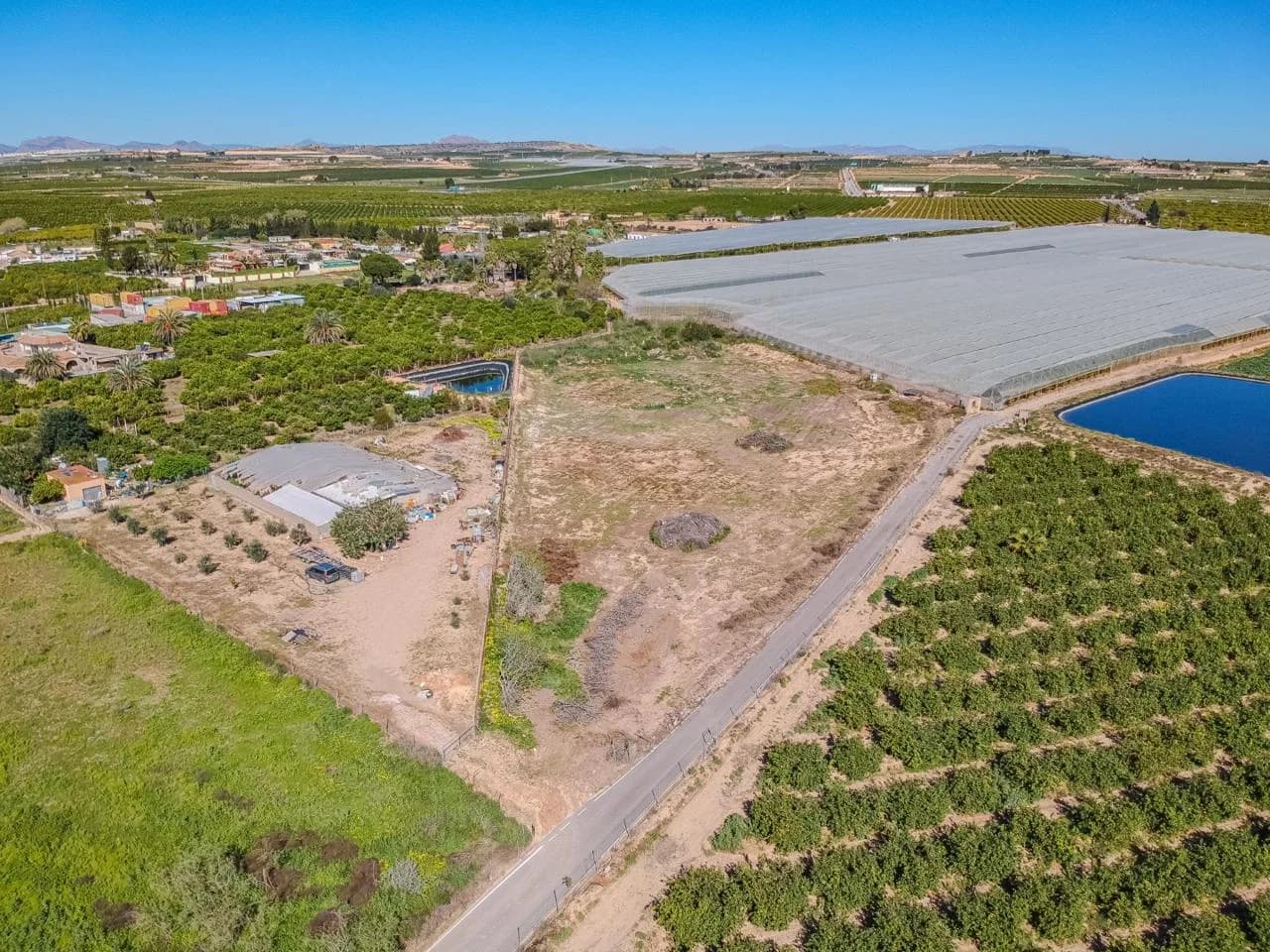 Terreno Rústico Urbanizable Con Proyecto De Vivienda En Los Pérez – Los Montesinos - Image 6