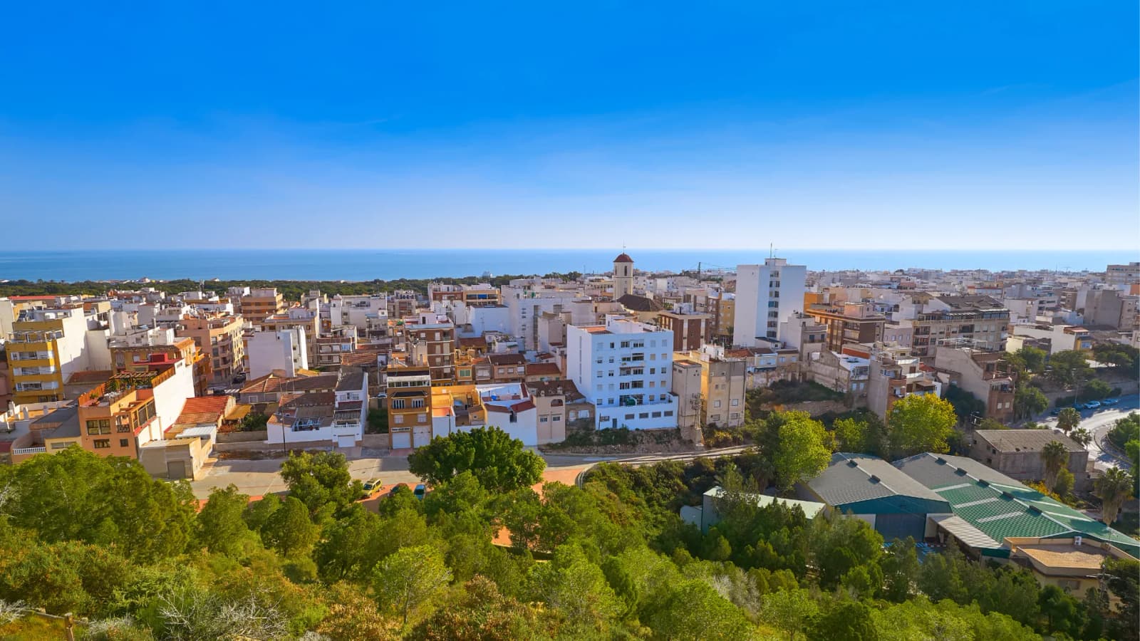 Plot de 1 dormitorios en venta en Guardamar del Segura, Alicante - Image 6