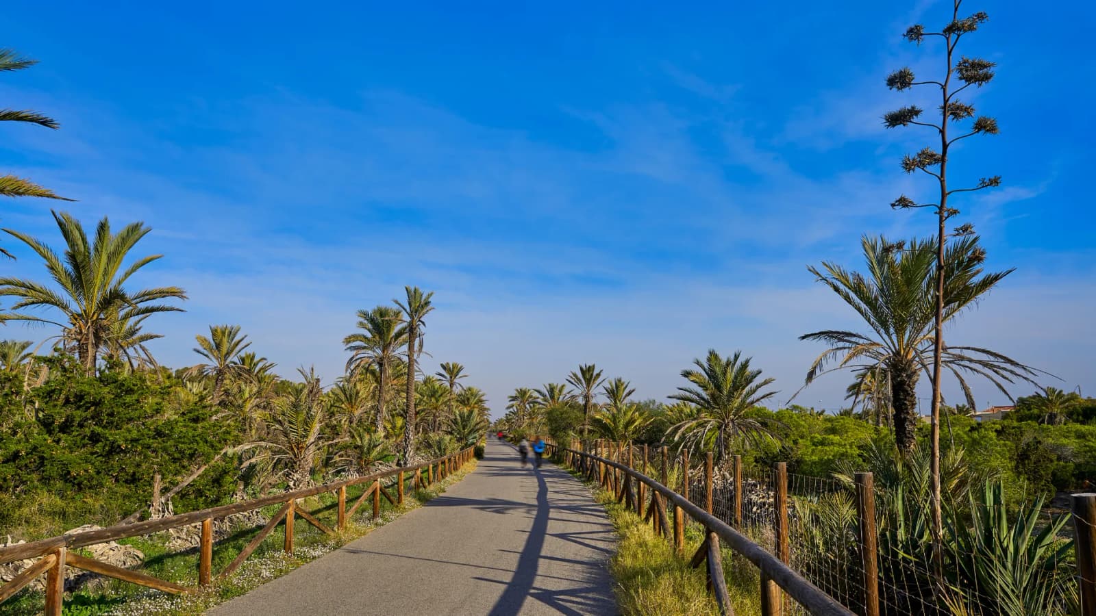 Plot de 1 dormitorios en venta en Guardamar del Segura, Alicante - Image 7