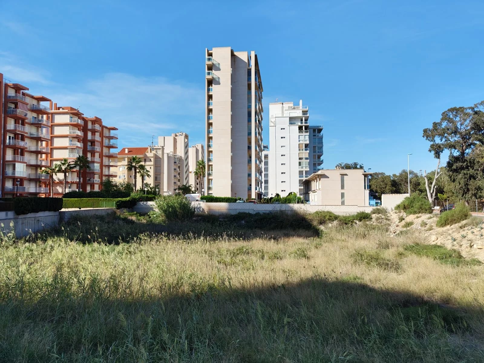 Plot de 1 dormitorios en venta en Guardamar del Segura, Alicante