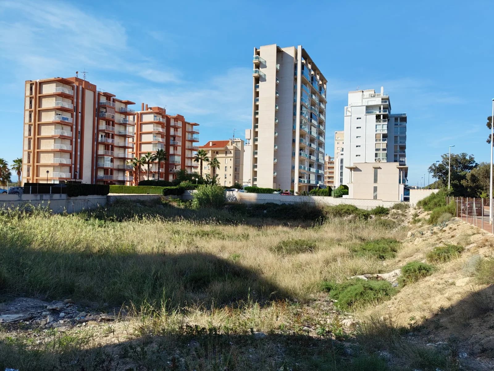 Plot de 1 dormitorios en venta en Guardamar del Segura, Alicante - Image 4