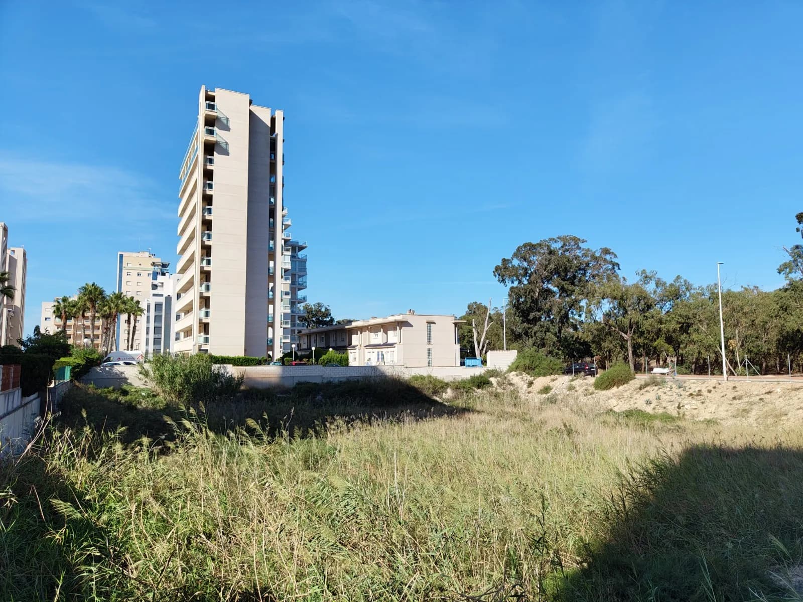 Plot de 1 dormitorios en venta en Guardamar del Segura, Alicante - Image 6