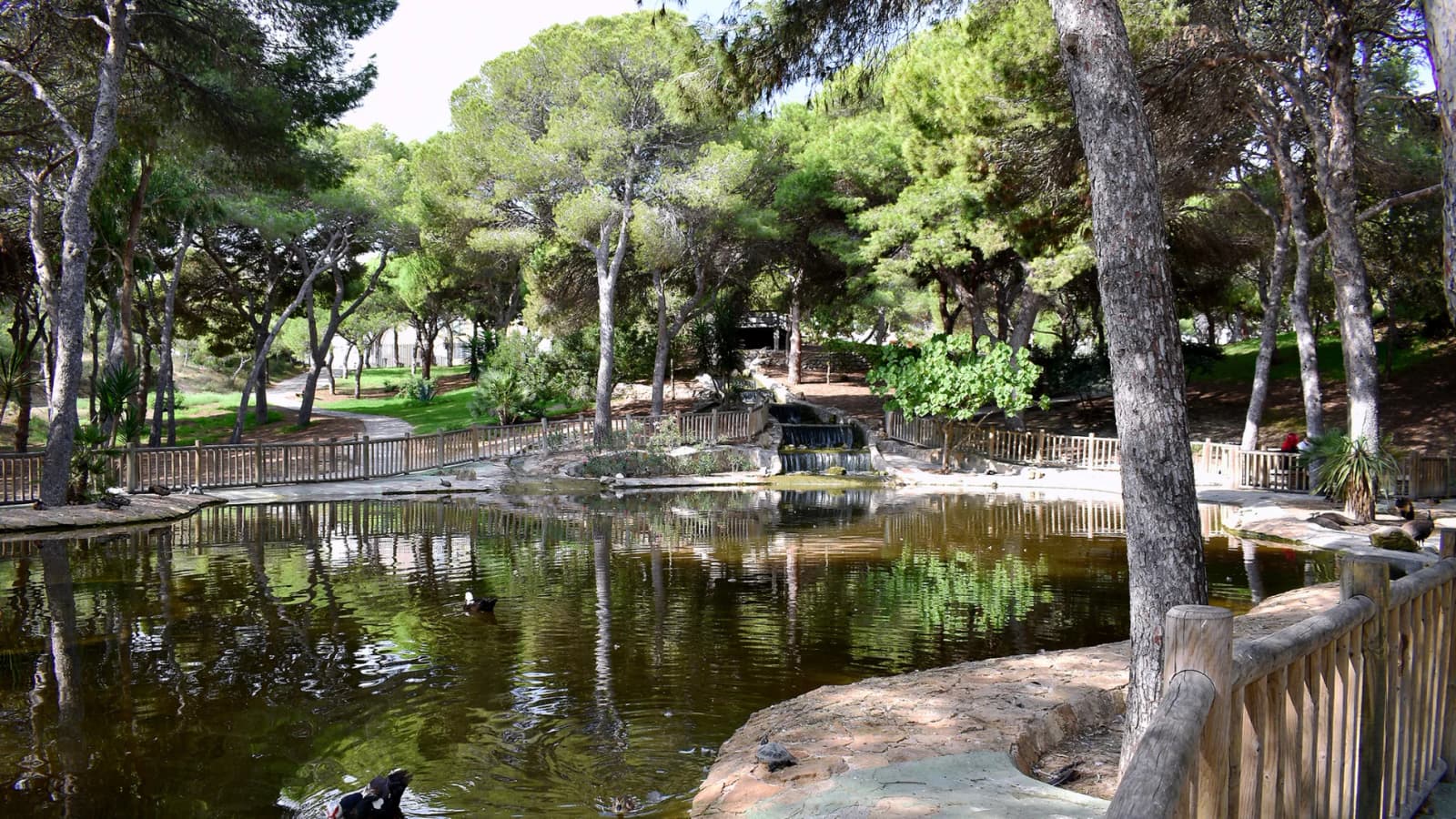 Plot de 1 dormitorios en venta en Guardamar del Segura, Alicante - Image 9
