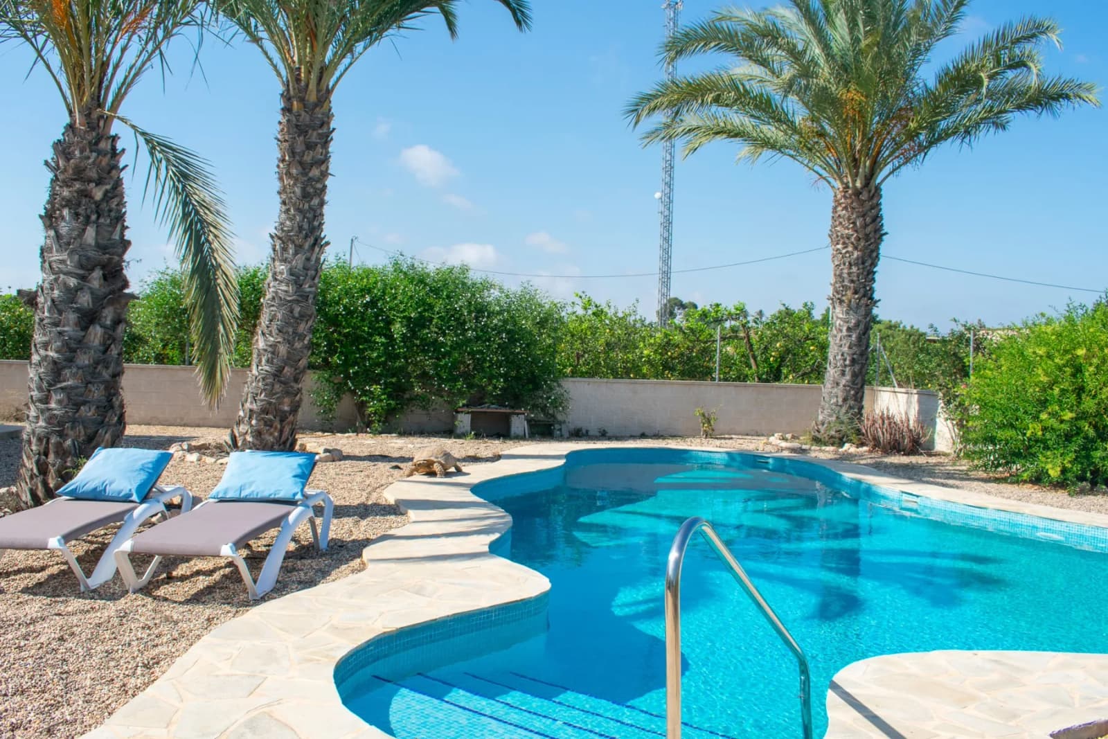 Independent Villa In Guardamar Del Segura - Image 5