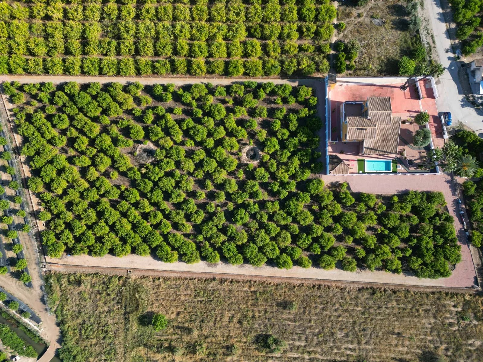 Finca Country Property In Orihuela