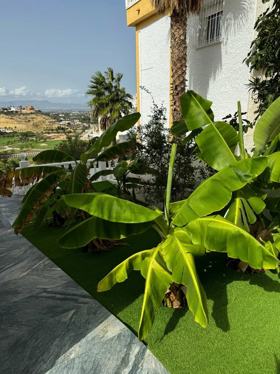 Independent Villa In Ciudad Quesada - Rojales - Image 6