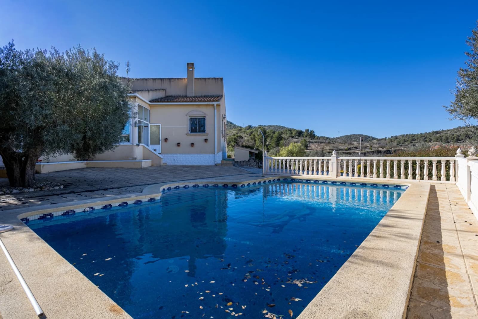 Finca - Country Property In La Zarza - Image 6