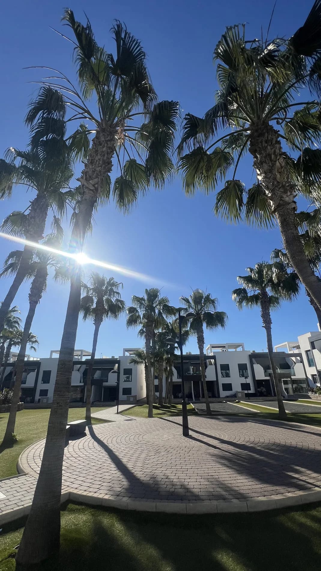 Apartment de 2 dormitorios en venta en La Zenia, Alicante - Image 7
