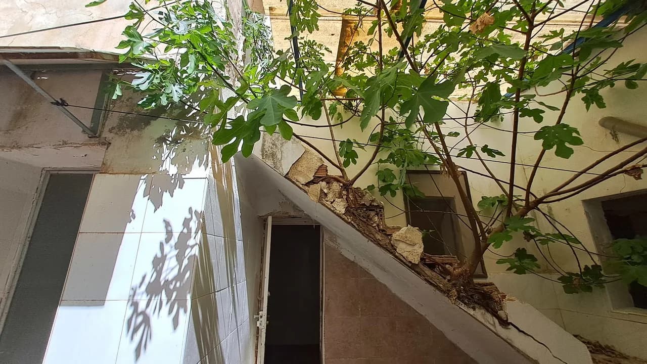 Commercial de 1 dormitorios en venta en Orihuela, Alicante - Image 9