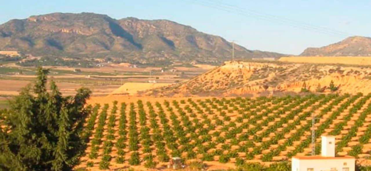 Plot en venta en Torre Pacheco, Murcia - Image 2