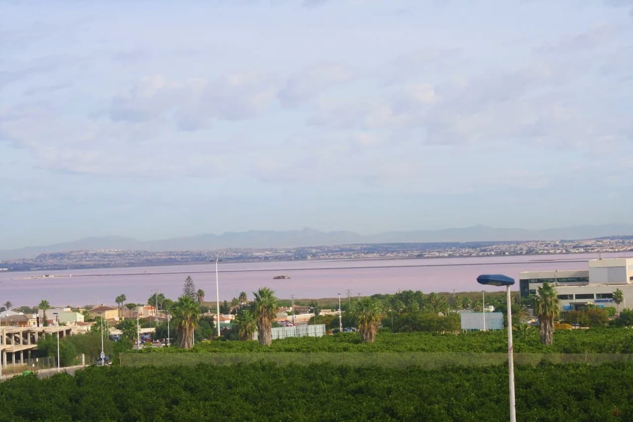 Townhouse de 3 dormitorios en venta en Los Altos, Alicante - Image 4