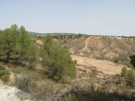 Plot en venta en Murcia - Image 2