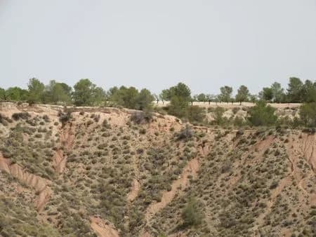 Plot en venta en Murcia - Image 4