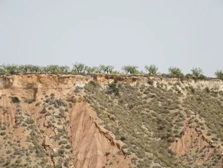 Plot en venta en Murcia - Image 5