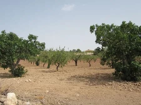 Plot en venta en Murcia - Image 7