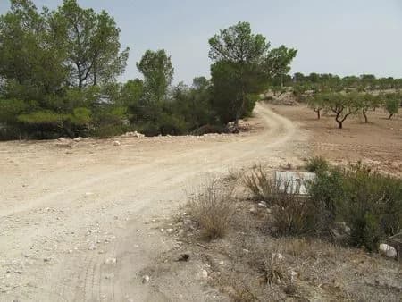 Plot en venta en Murcia - Image 8