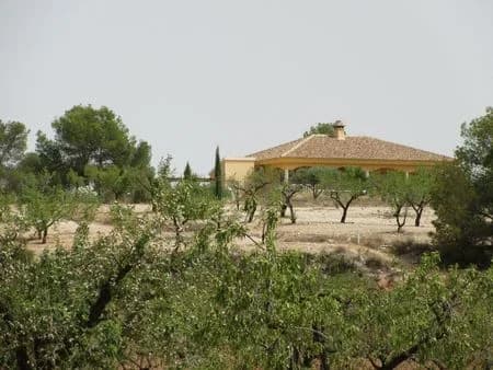 Plot en venta en Murcia - Image 9