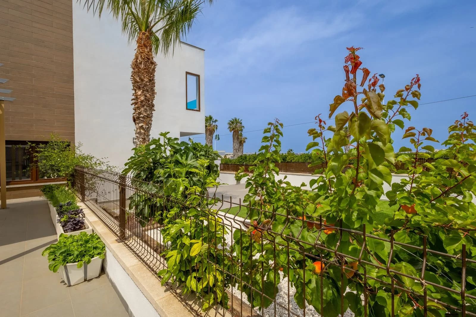 Town House In Los Balcones - Image 4