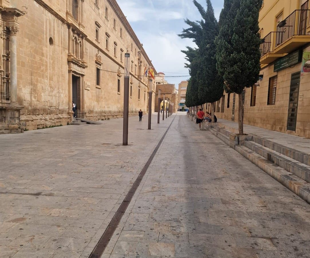 Commercial en venta en Orihuela, Valencian Community