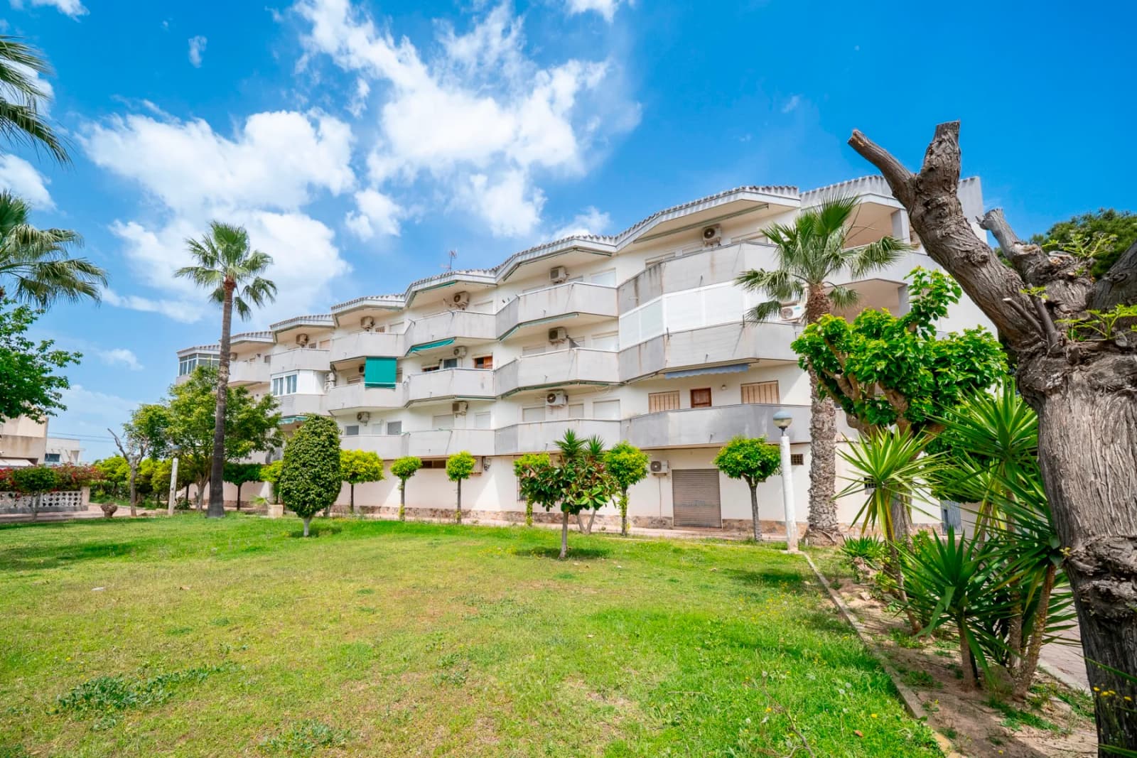 Apartment de 1 dormitorios en venta en Orihuela Costa, Alicante