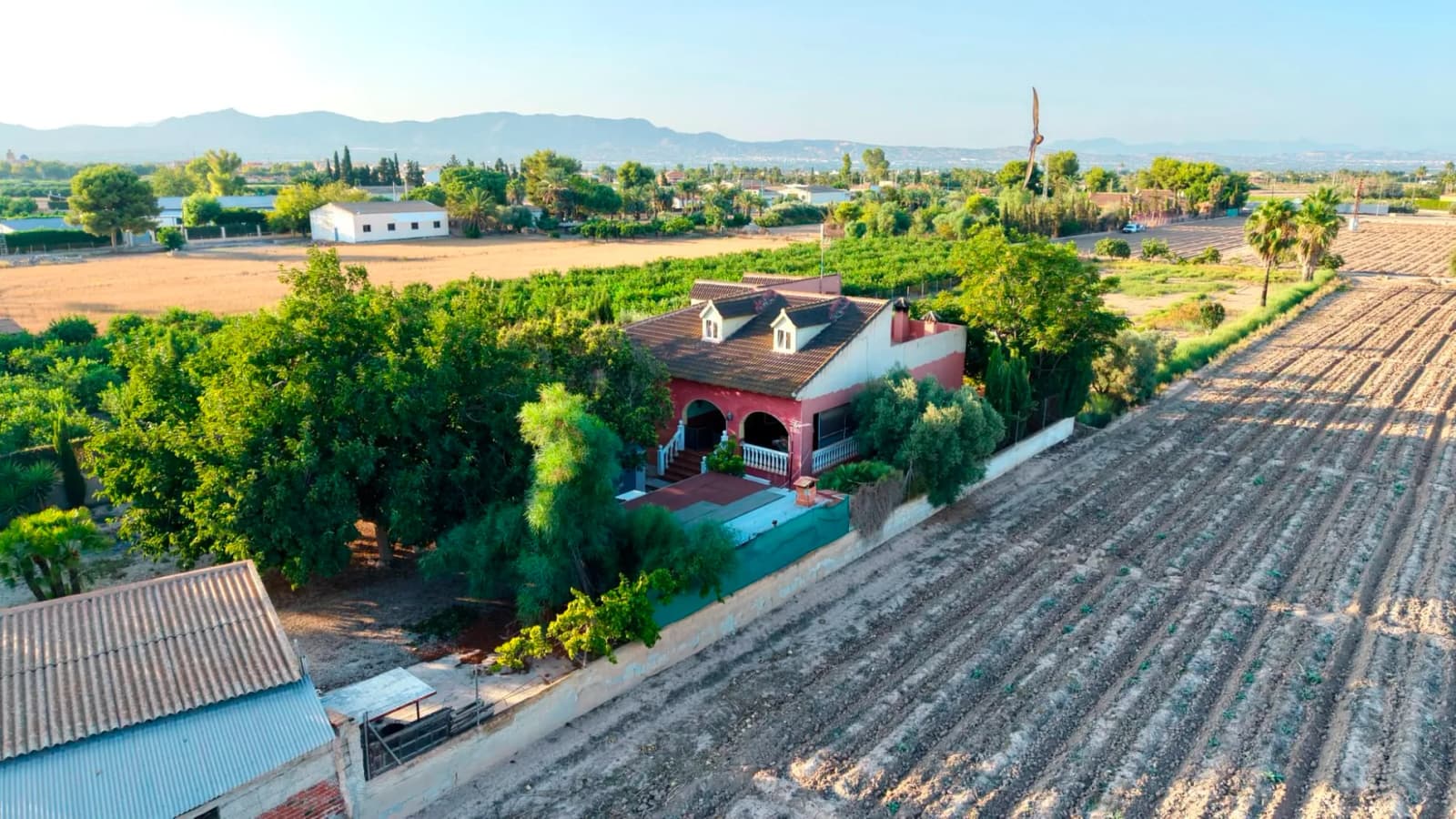 Finca - Country Property In Catral - Image 4