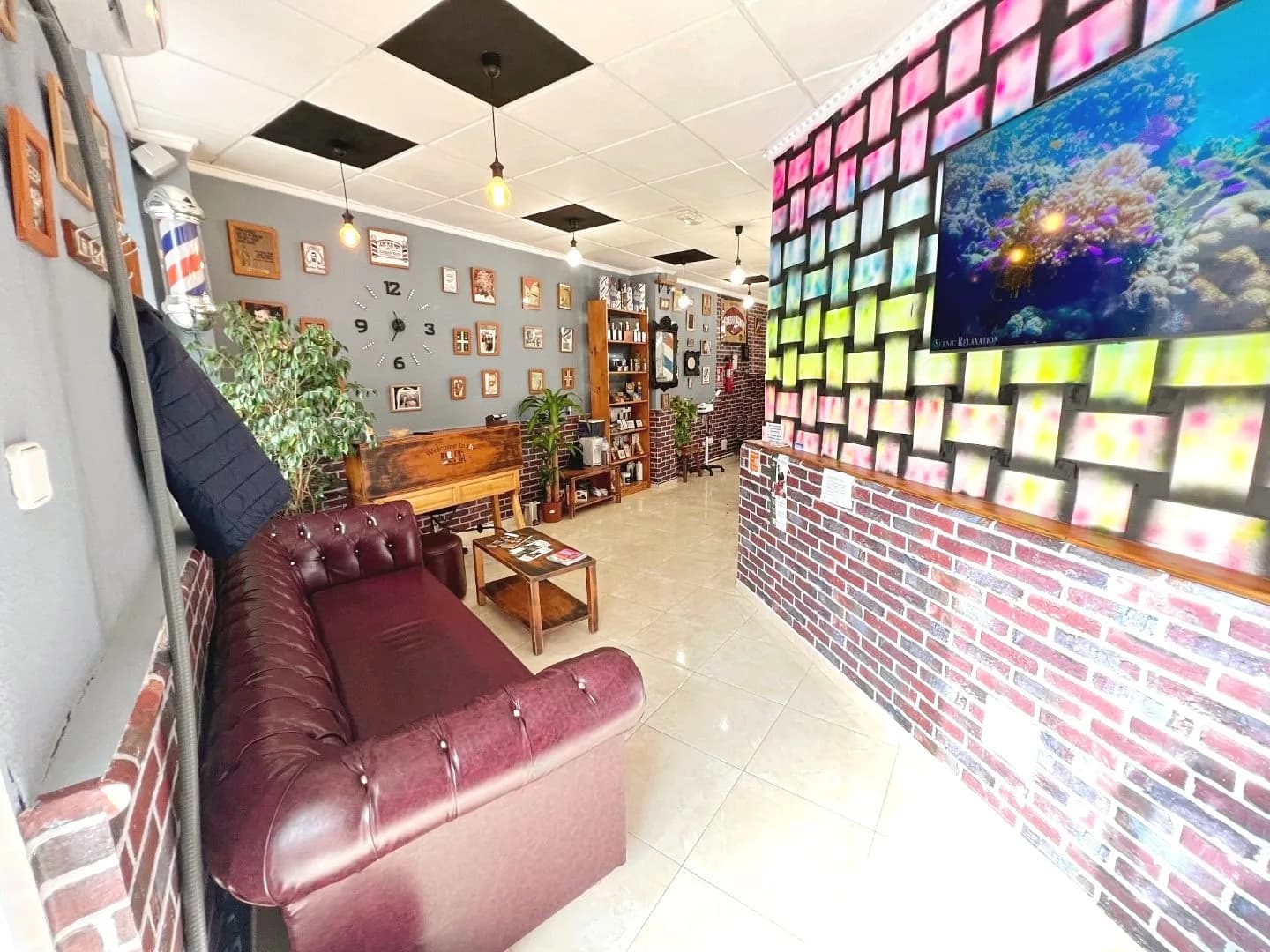 Commercial Space In Guardamar Del Segura - Image 4