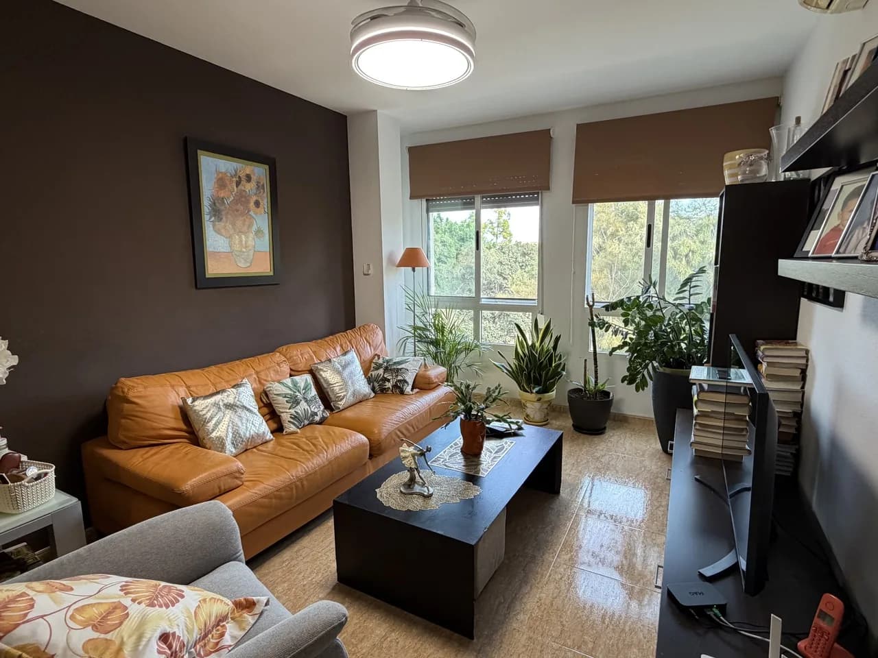 Apartment de 2 dormitorios en venta en Pilar de la Horadada, Alicante