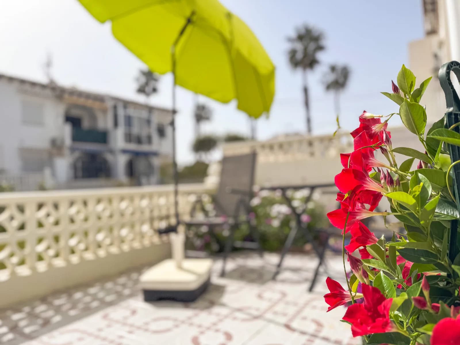 Bungalow de 1 dormitorios en venta en Torrevieja, Alicante - Image 3