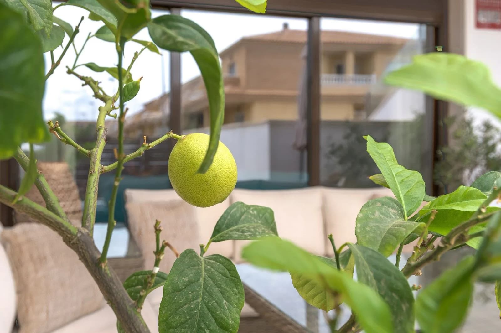 Apartment In San Pedro Del Pinatar - Image 7
