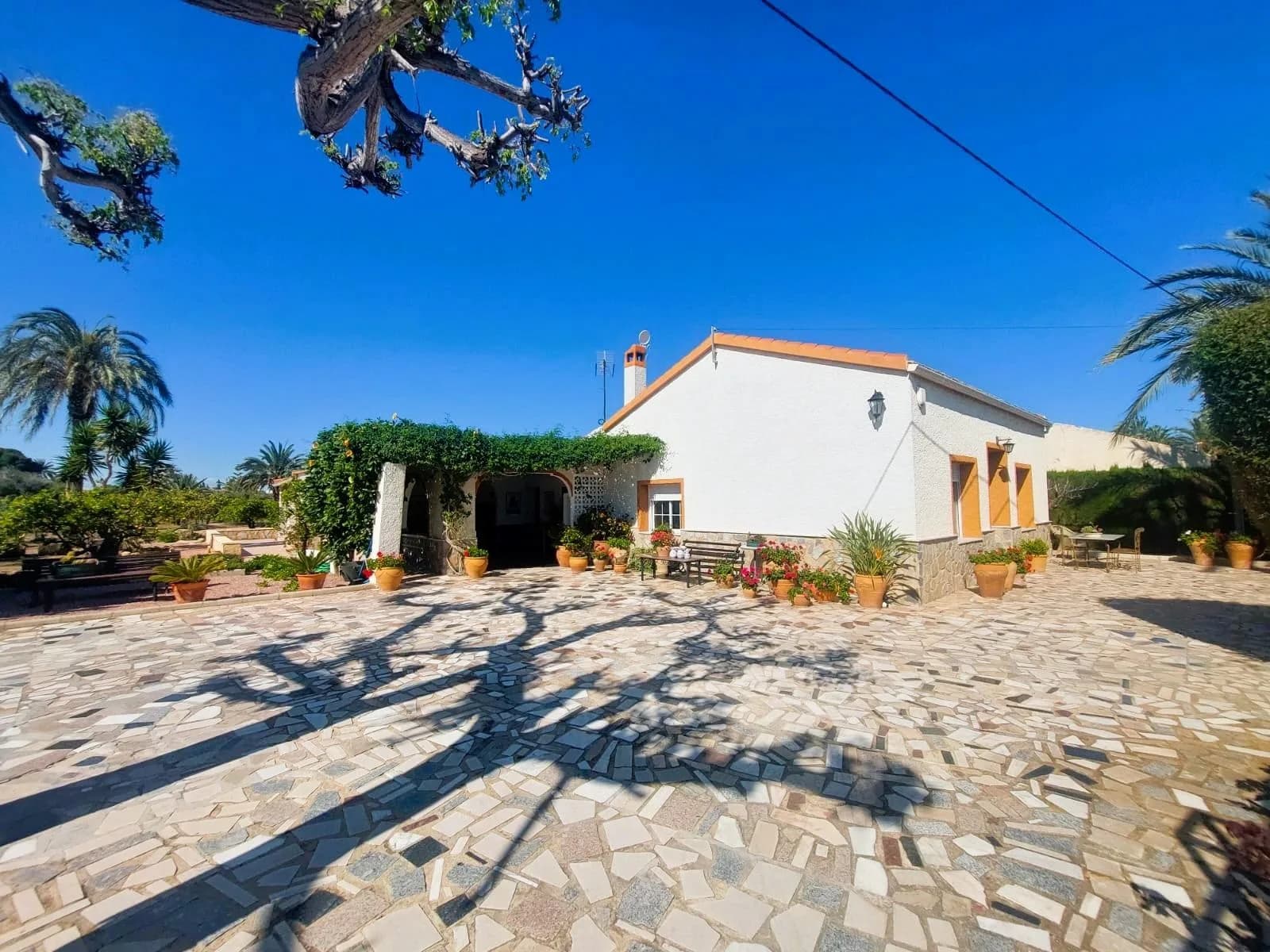 Farmhouse Villa In La Marina - Image 7