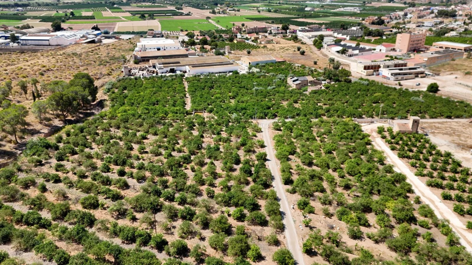 Finca Country Property In Orihuela - Image 4