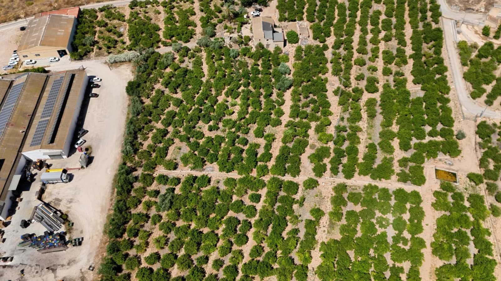Finca Country Property In Orihuela - Image 5