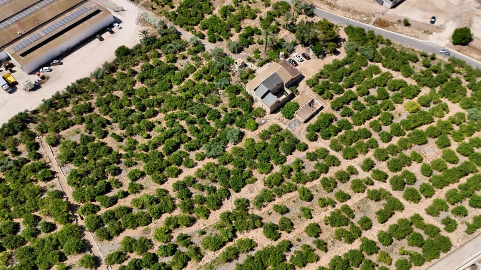Finca Country Property In Orihuela - Image 6