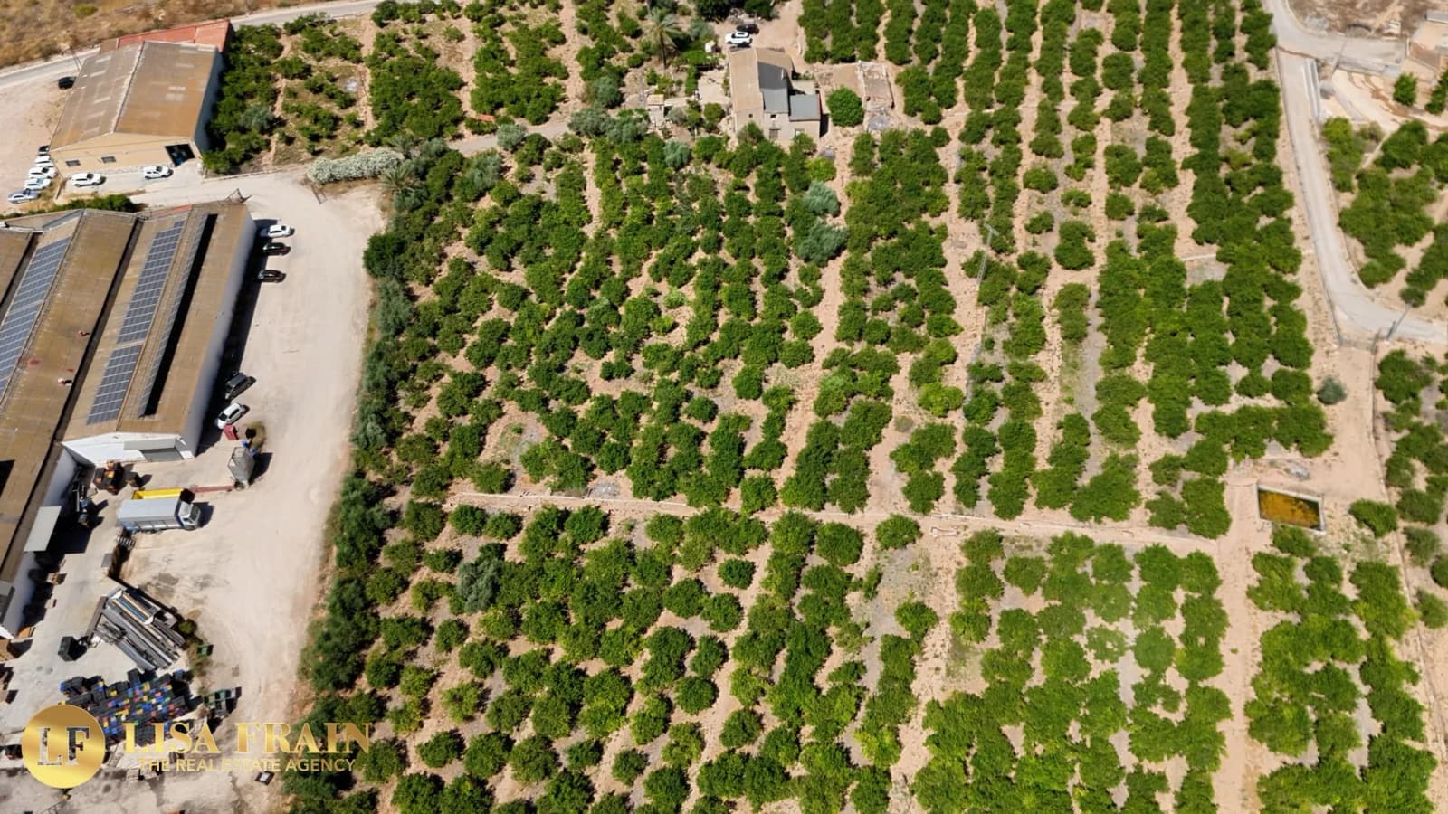 Finca Country Property In Orihuela - Image 7
