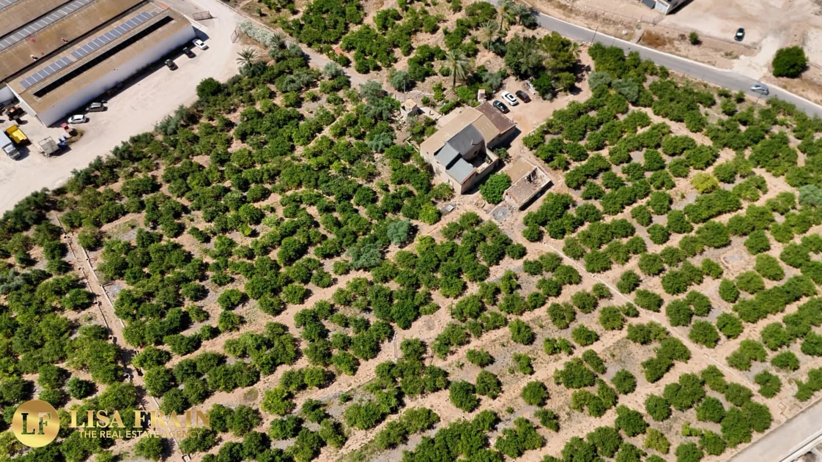 Finca Country Property In Orihuela - Image 9
